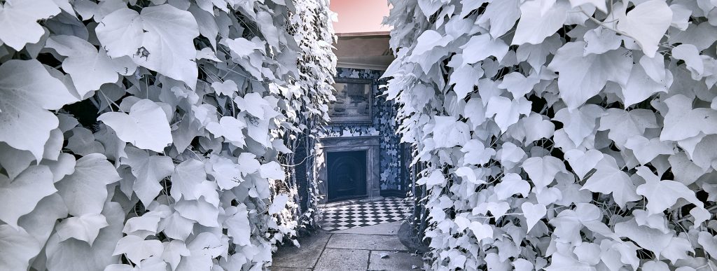 Photograph of grey leaves leading to a fireplace